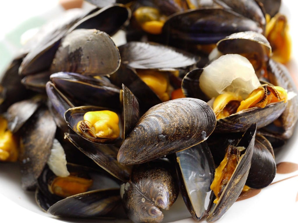 Mejillones Alimentos de la Felicidad Mejillones Alimentos de la Felicidad