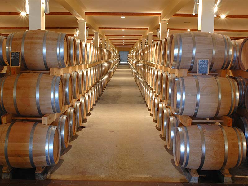 como elegir un vino Bodega como elegir un vino Bodega