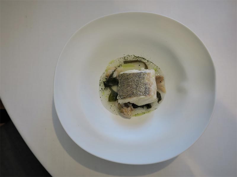 Merluza Yayo Daporta