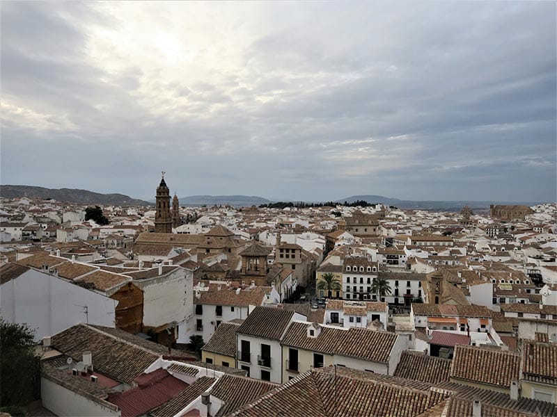 Interior de Malaga Antequera