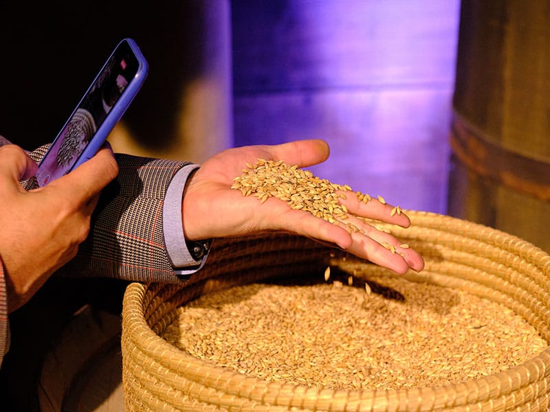 Visita a la fábrica de Mahou cebada