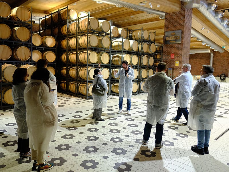 Visita a la fábrica de Mahou sala de barricas