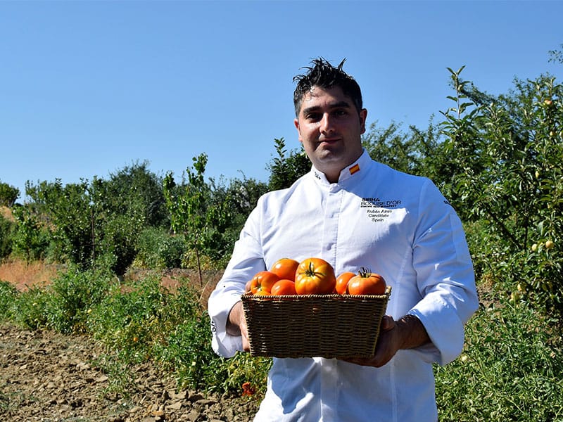 Mejores tomates de Madrid huerta La Floresta