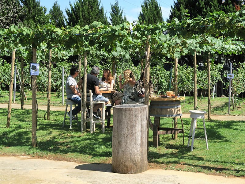 Bodega Miradorio Cantabria terraza