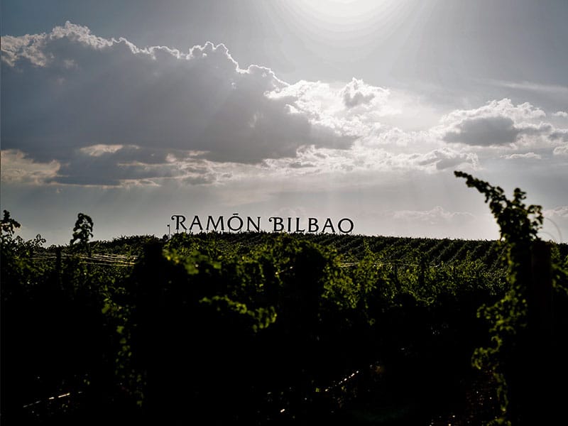 Ramón Bilbao Noches de vendimia en Rueda