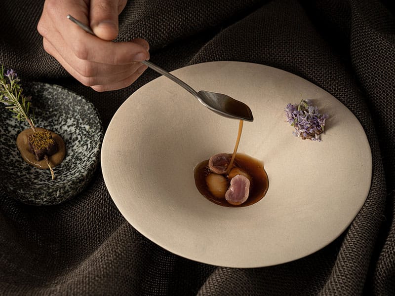 PIchon restaurante Barro Avila