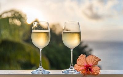 7 Vinos de verano que saben a vacaciones y a tardes interminables