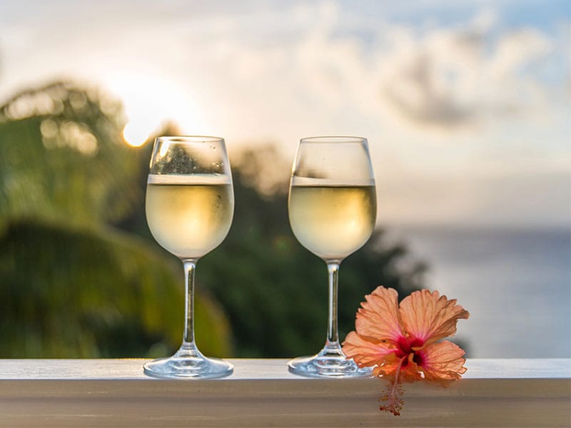 7 vinos de verano
