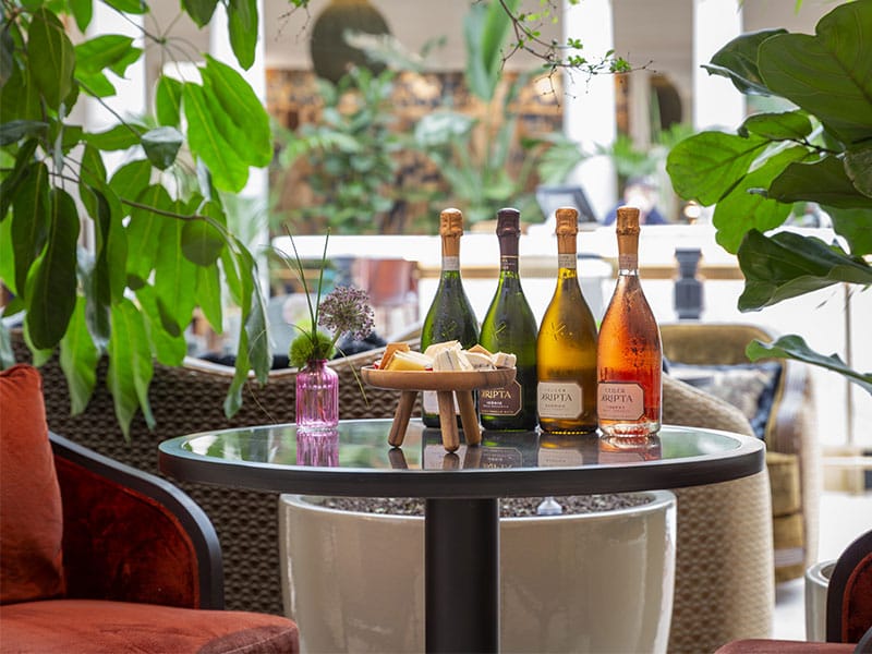 Quesos y Burbujas Formaje y Celler Kripta