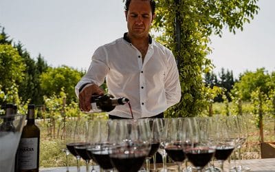 El Día V en Ribera del Duero reúne a más de 700 personas para vivir una experiencia única