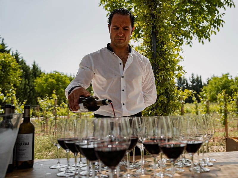 El Día V en Ribera del Duero reúne a más de 700 personas para vivir una experiencia única