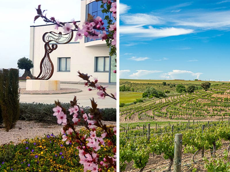 Enoturismo en Bodegas Pandora Enoturismo en Bodegas Pandora