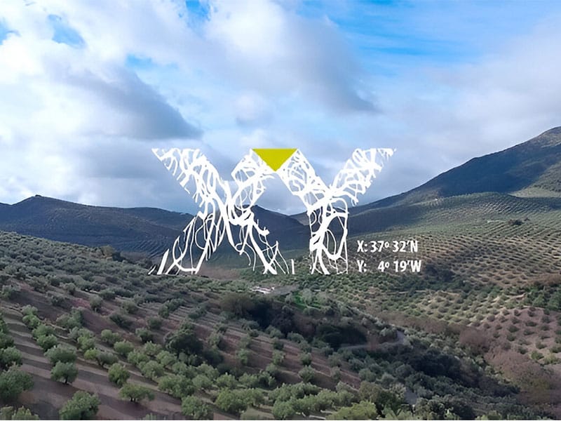 XY Aceite de oliva DOP Priego de Córdoba