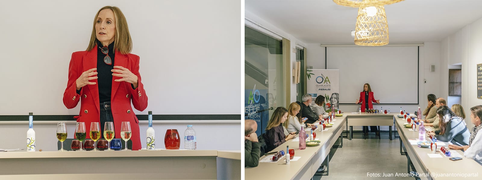 Centro de Interpretación Olivar y Aceite