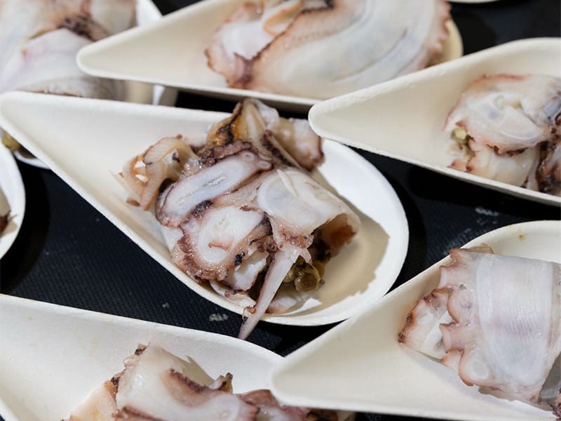 pulpo de Pájara Fuerteventura