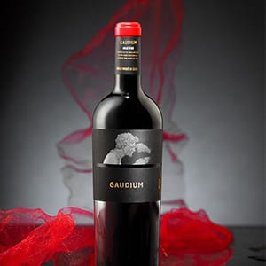 Gaudium