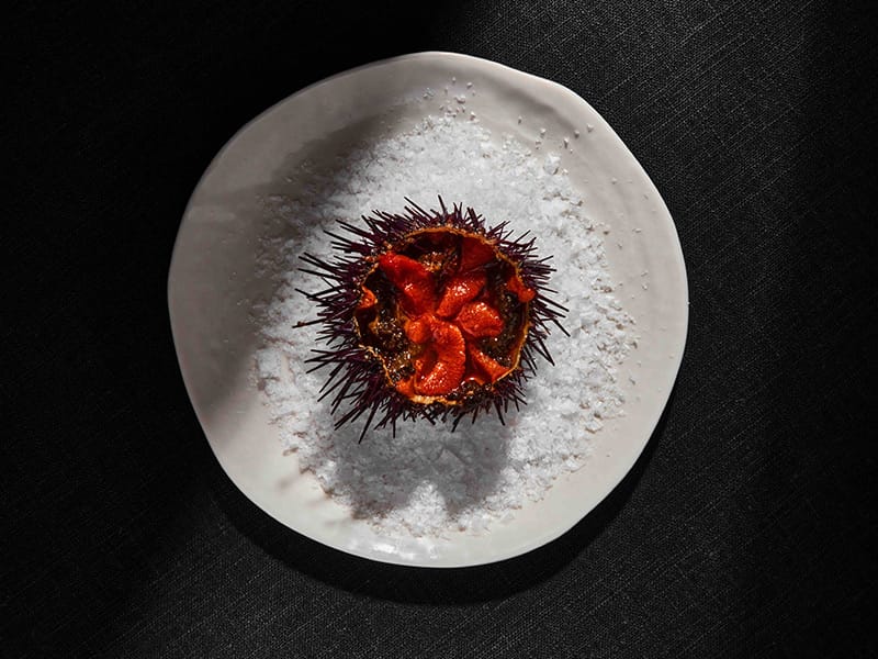 Árdia, planes en marzo en Madrid