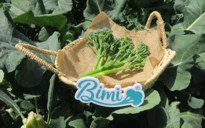 Bimi®: qué es y cómo se cocina esta verdura parecida al brócoli, pero tan diferente