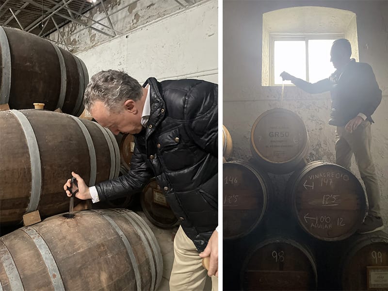 Francisco Muñoz Director General de Bodega Toro Albalá