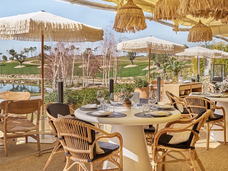 Ó TERRAZA & MUSIC BAR