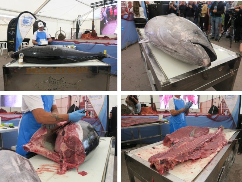 Ronqueo de atún rojo Morro Jable