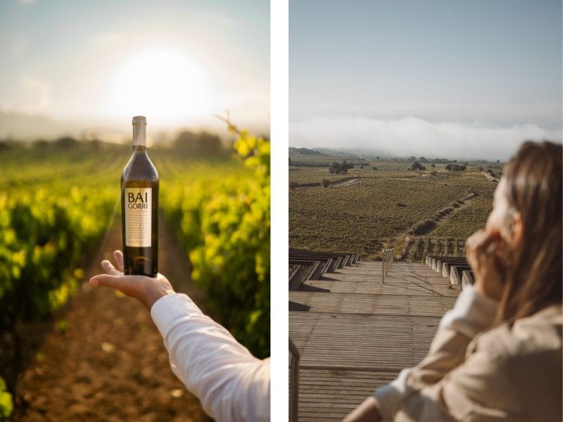 Visitas bodegas Baigorri enoturismo