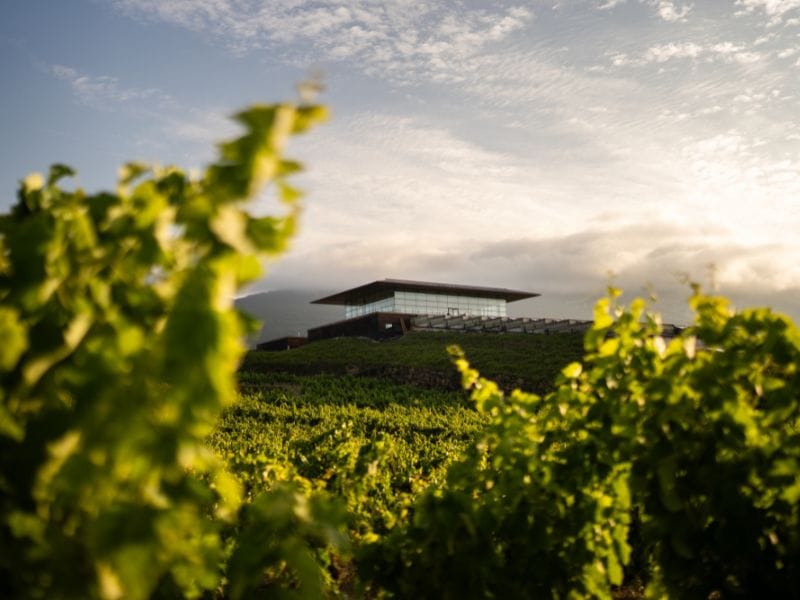 experiencias de enoturismo para regalar el Día de la Madre Bodegas Baigorri
