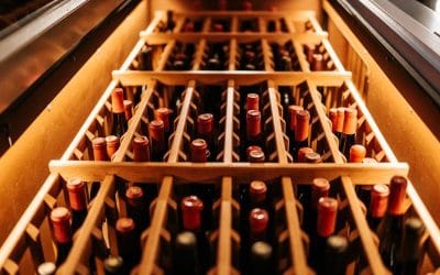 El búnker del vino: así se protegen las botellas de miles de euros