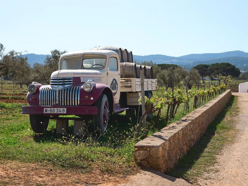 Bodega Can Rich Ibiza